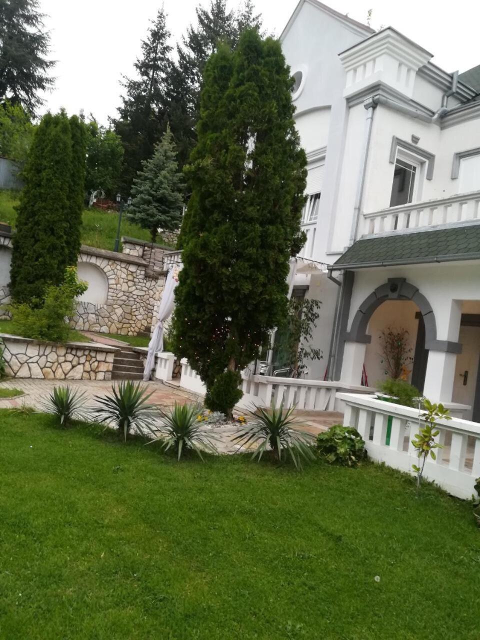 Vila Kraljica 브르드니크 외부 사진
