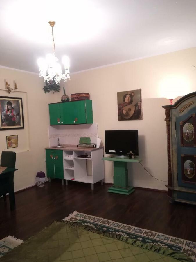 Vila Kraljica 브르드니크 외부 사진
