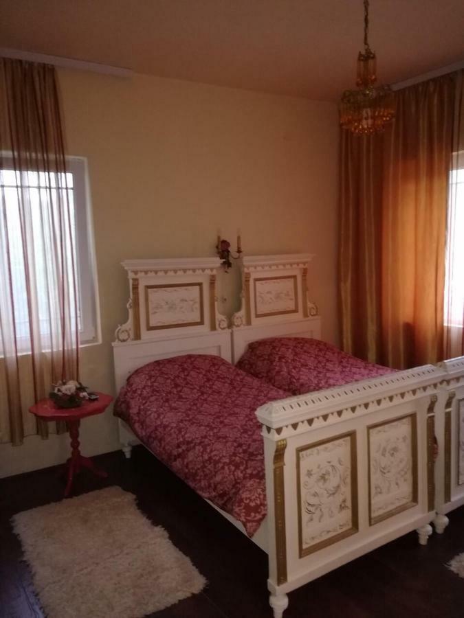 Vila Kraljica 브르드니크 외부 사진